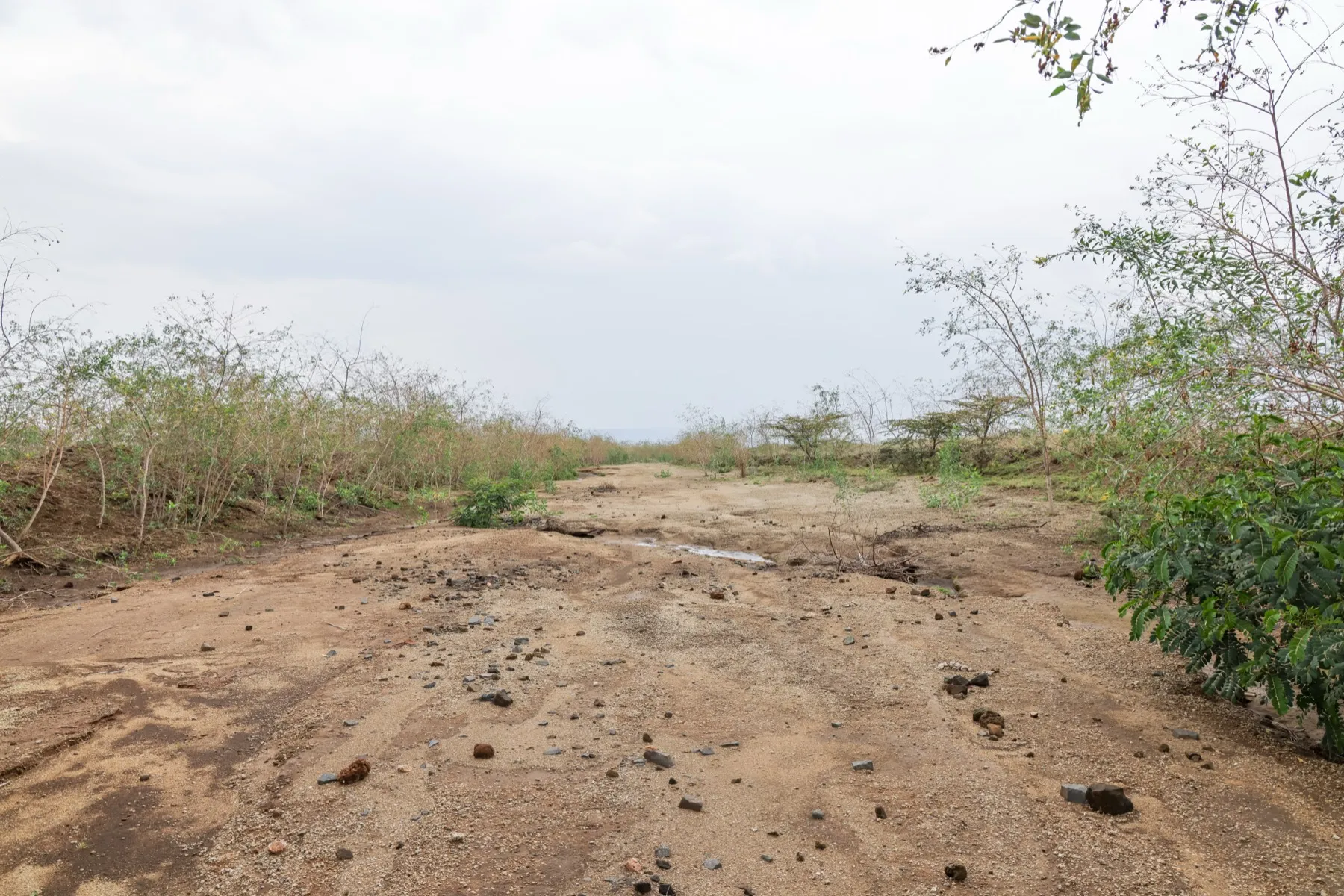 The Hells Gate site at Naivasha, open ground, dirt access road, Rift Valley sky